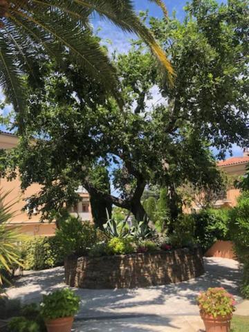 Belle Residence Au Centre De Saint Tropez Avec Piscine Et Garage Екстер'єр фото